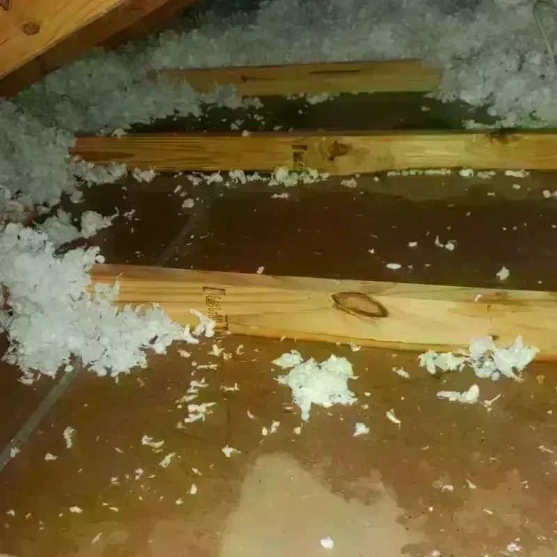 Attic Water Damage in Lemmon, SD