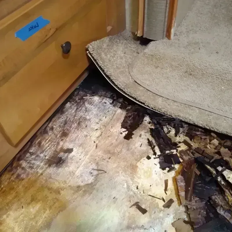 Wood Floor Water Damage in Lemmon, SD